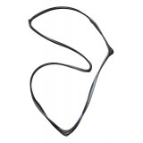 Borracha Teto Panorâmico Jeep Compass 2022 2023